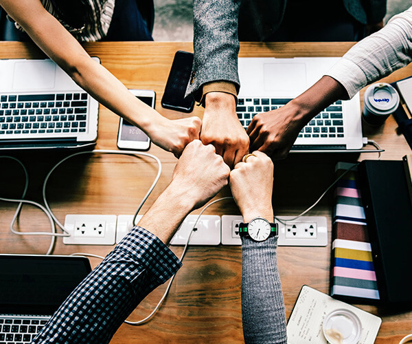 IT professionals working on web and app development